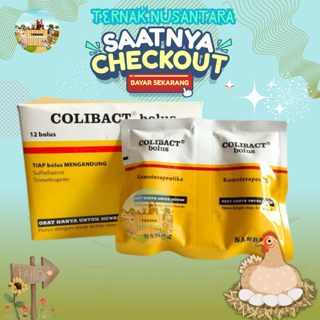 ECER 1 COLIBACT BOLUS DIARE HEWAN - Untuk Sapi Kuda Domba Babi