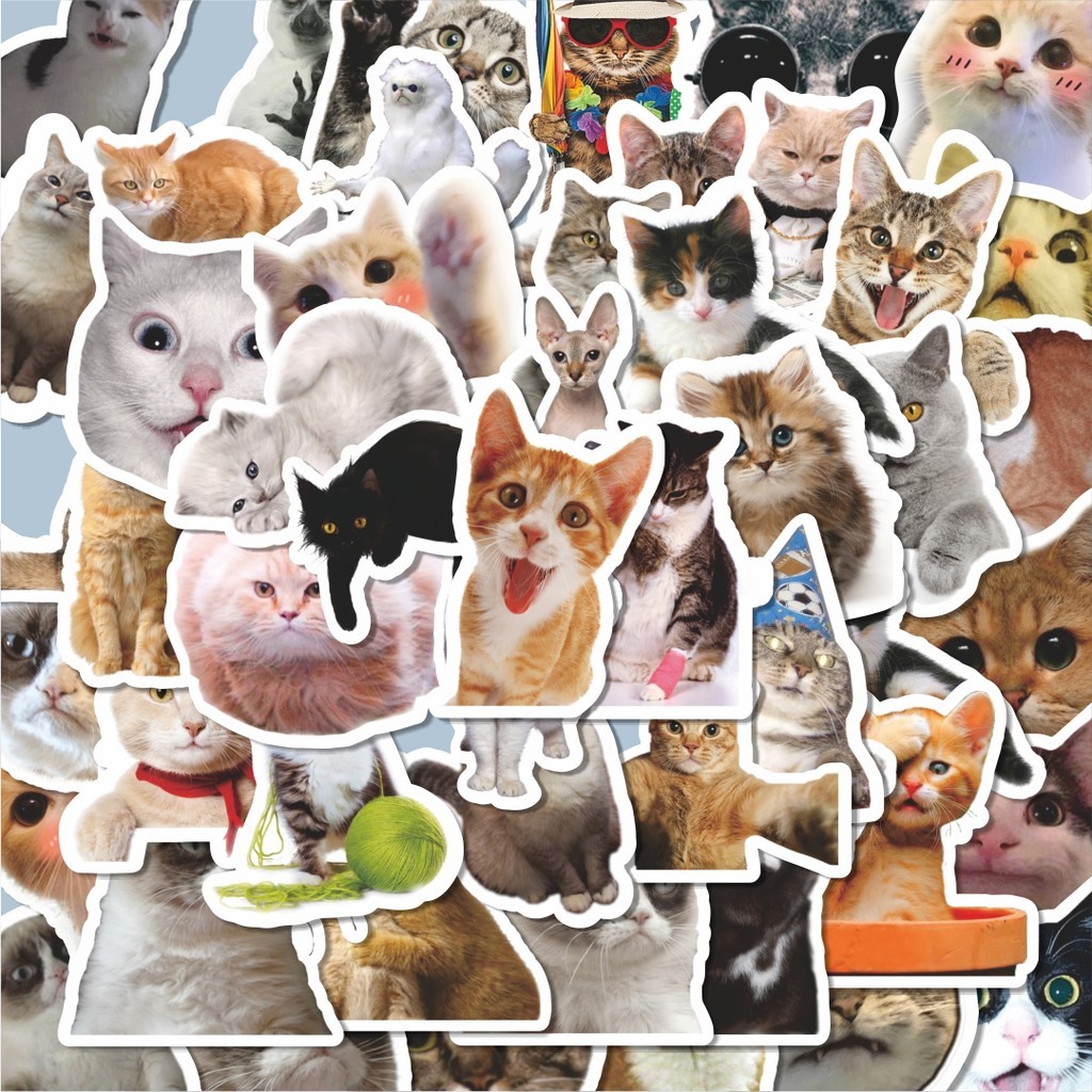 

100PCS Lucu Stiker Hewan Funny Cat/Kucing Stiker Aesthetic Stiker Anti Air Stikers Berperekat Waterproof sticker decal buat Motor Helm Buku Journal Koper Casing HP Laptop Botol Minum Hadiah anak