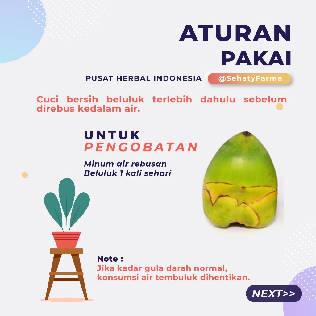 

ISM - FRESH! BELULUK KELAPA KECIL | TEMBULUK HERBAL