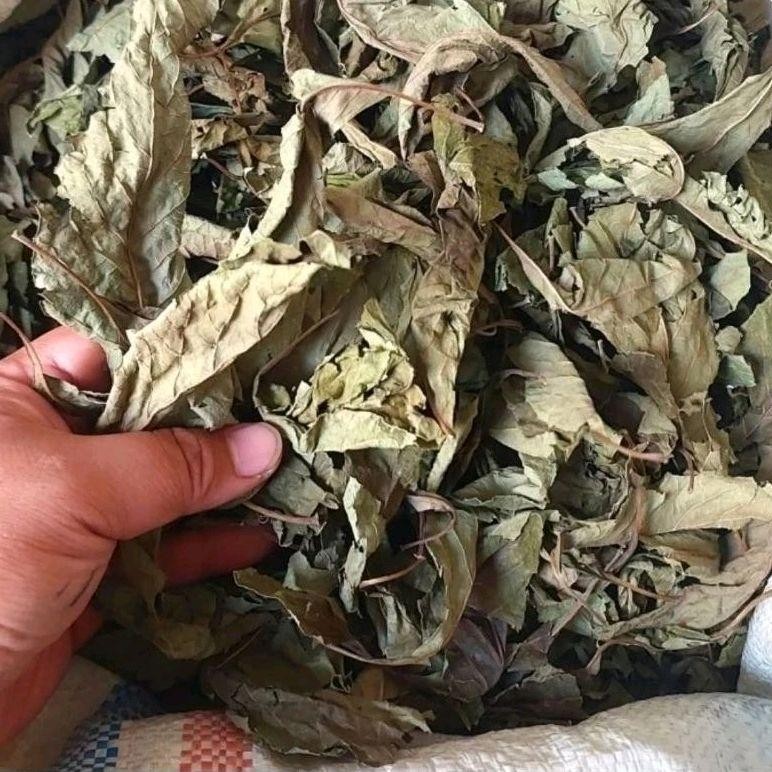 

500 gram Daun Sambung Nyawa Asli Kering Herbal Tea