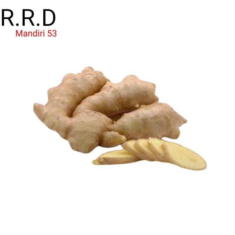 

Promo Kunyit putih segar 750gram (temu putih/curcuma zedoria ) BUKAN STOK LAMA