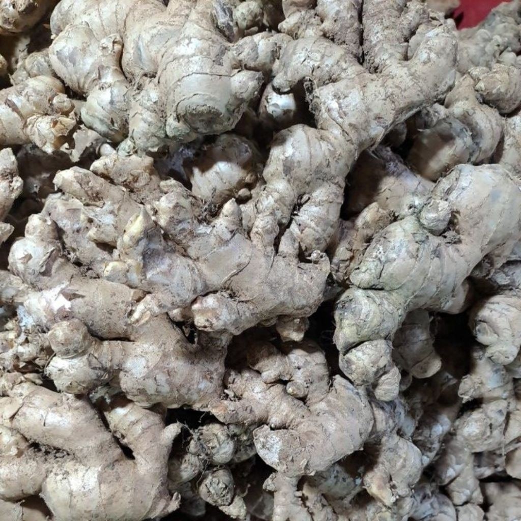 

Jahe per Ons Segar Bandung