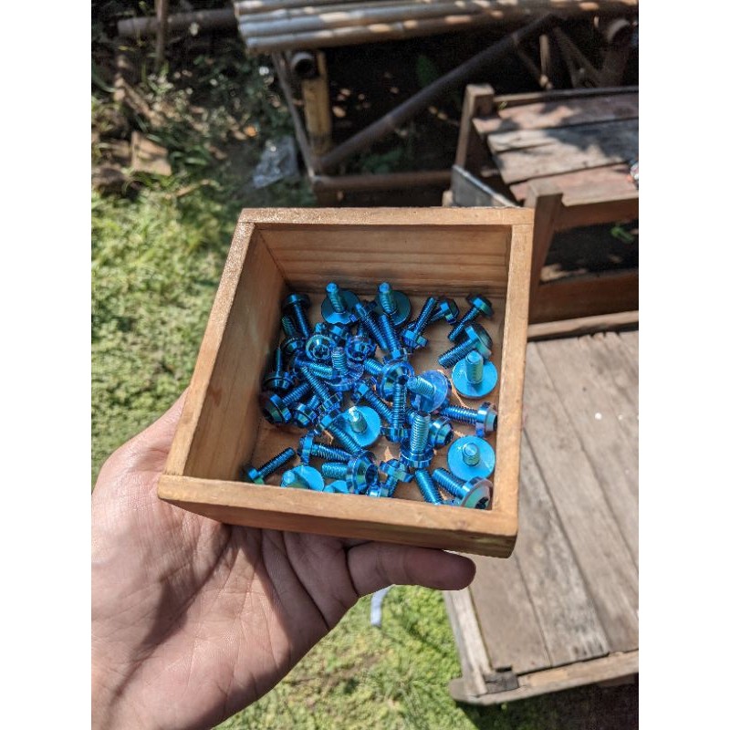 Set Baut Body F1Z FIZ R Titanium Bolt GR5 Original