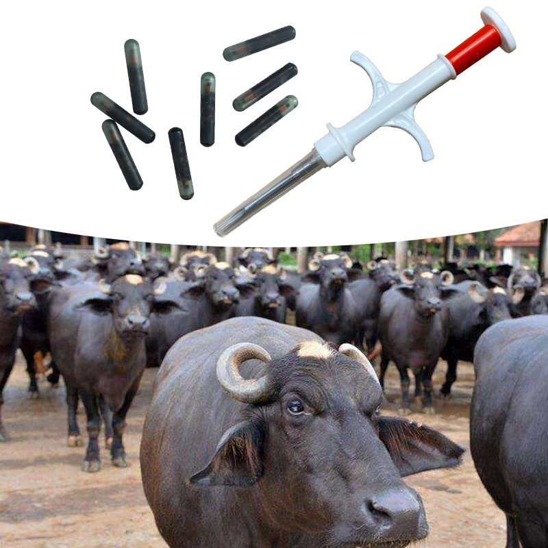 

10pcs 2.12x12mm RFID Glass tag ISO11784/5 FDX-B 15digits animal microchip for buffalo identification +1pc syringe as free sample