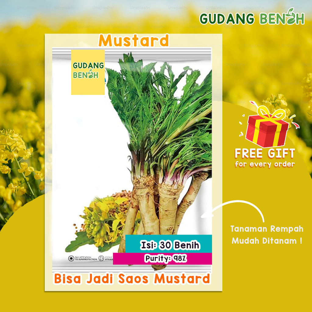 ATB- Bibit Sayuran / Bibit Sayur / Tanaman Mustard Premium Isi 30 Benih /Bibit Sayuran Lengkap / Ben