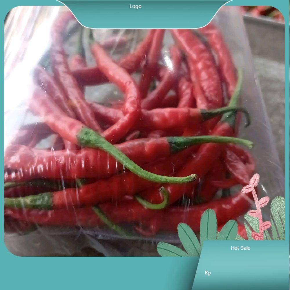 

Cabai Kriting Cabai Rawit Keriting Tanjung Pedas dan Segar Bubuk Spices