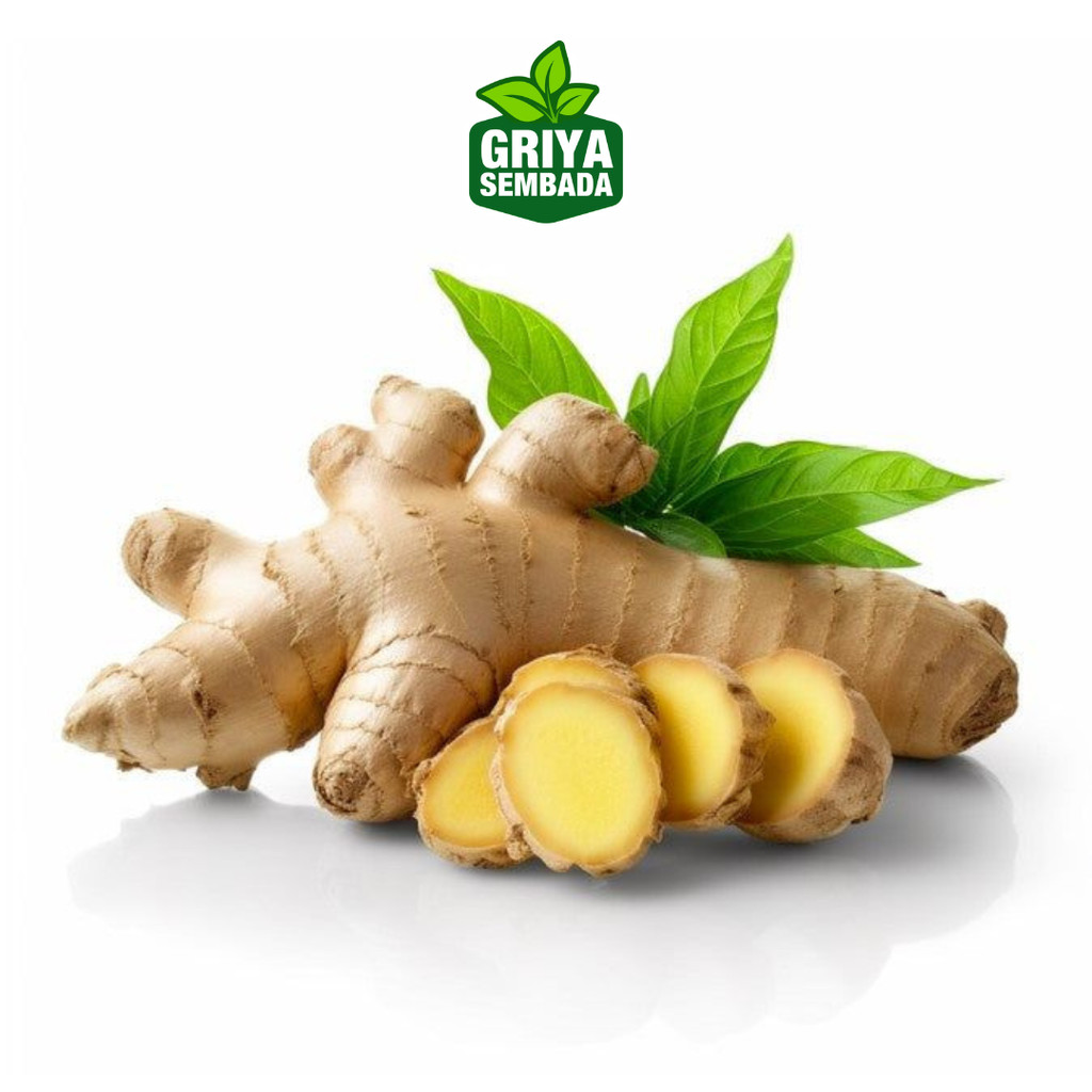 

Jahe Utuh Segar Fresh 1kg/500 Grm