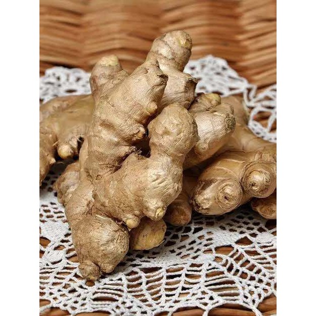 

SEGAR JAHE GAJAH JUMBO 1/2KG