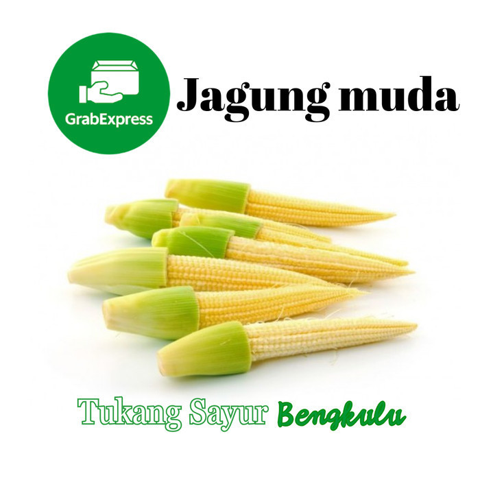 

Jagung muda kecil baby Grab instan Tukang Sayur Bengkulu