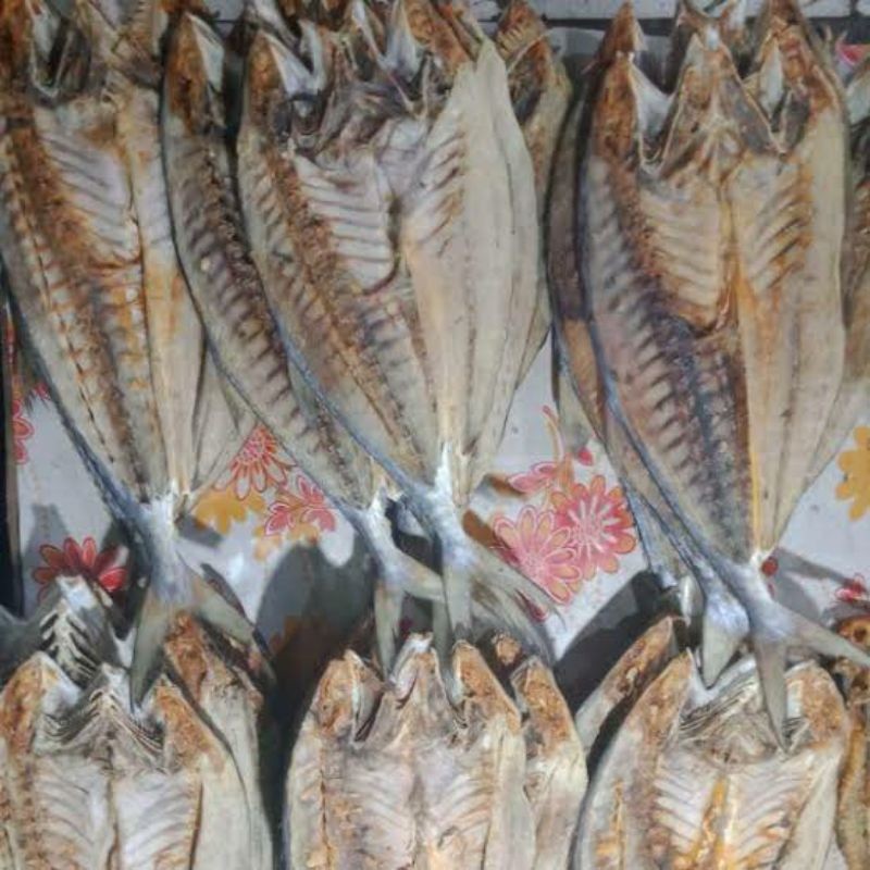 

Ikan Asin Telang Papan Burung Janpu Sampan Tiau