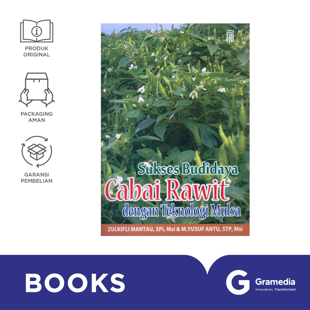 Sukses Budidaya Cabai Rawit Dengan Teknologi Mulsa