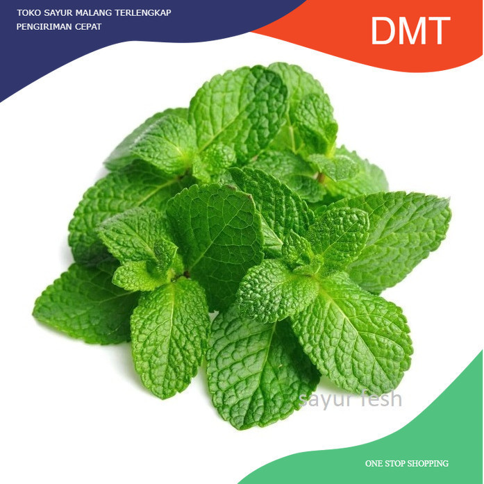 

Daun Mint Segar 500gr