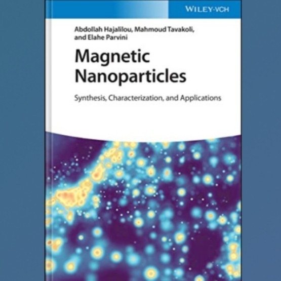 Buku Magnetic Nanoparticles