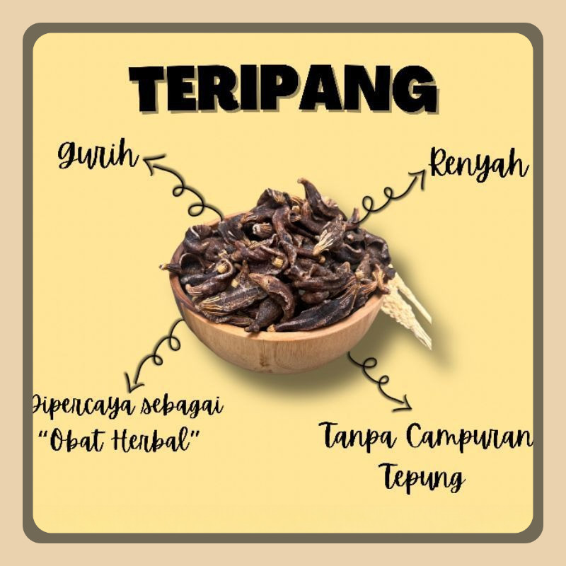 

Krupuk Teripang Asli Cemilan Laut Snack Kering