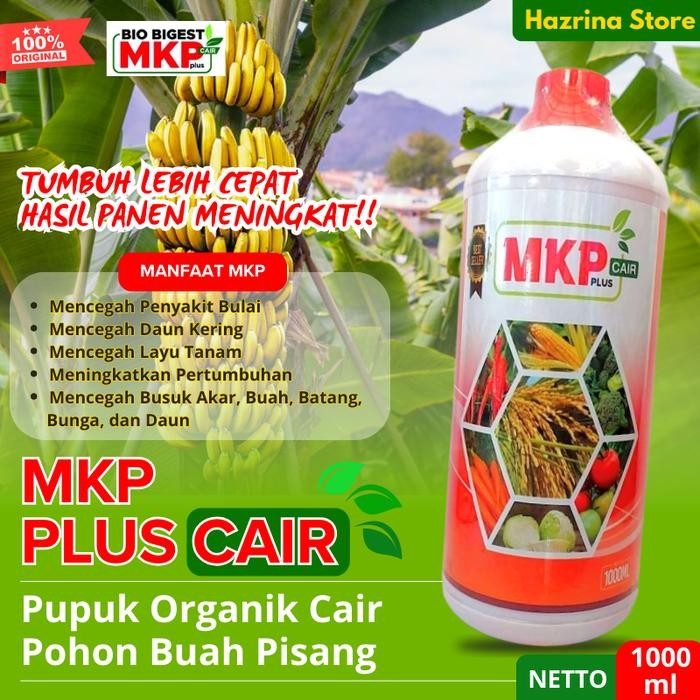 Pupuk Organik Cair Pisang MKP BIO BIGEST Booster Buah Lebat & Anti Rontok