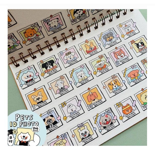 

Rin! Studio Washi Sampler For Decoration / Loops