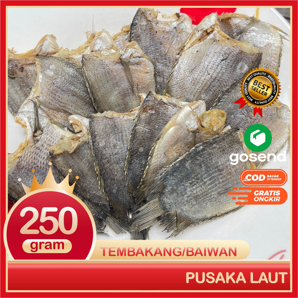 

Ikan Asin Tembakang Atau Baiwan Super Packing Plastik Vakum Seal 250 Gram