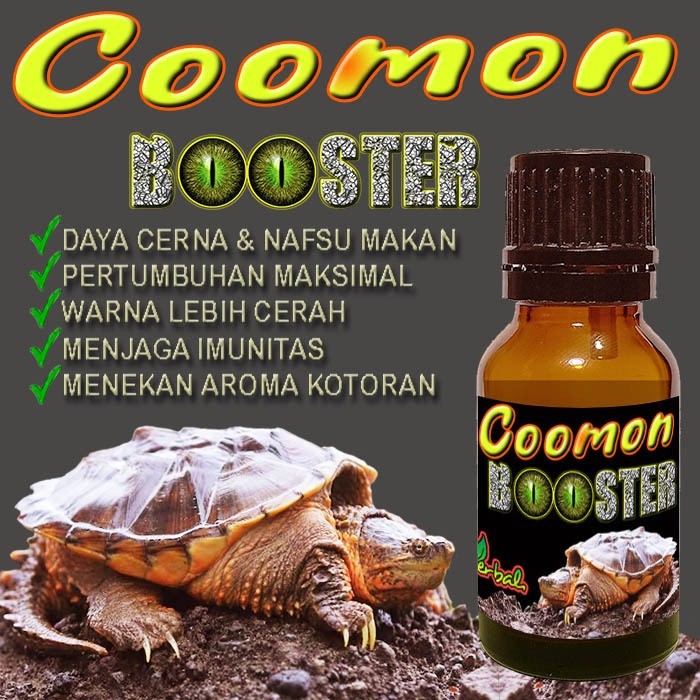 COOMON BOOSTER SUPLEMEN KESEHATAN COMMON SNAPPING TURTLE CST AST KURA-KURA AIR OBAT PENCERNAAN PENAM