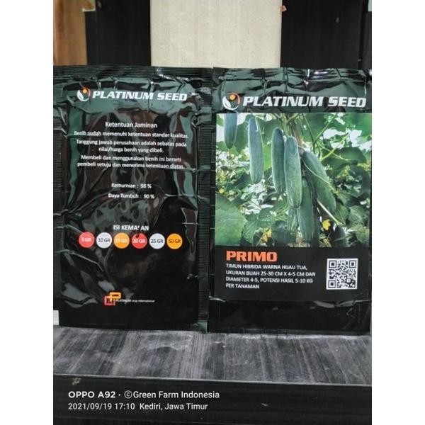 Benih Timun Primo Platinum Seed Timun Hijau Tua Hibrida