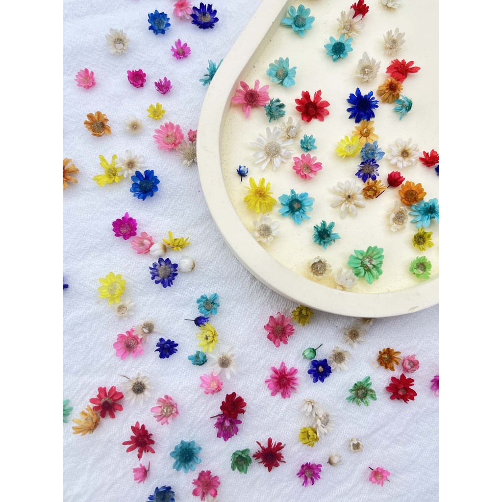 

1Box Small Flowers Tiny Pressed Flowers for Jewelry Earrings Epoxy Molds DIY Candles Soap Making