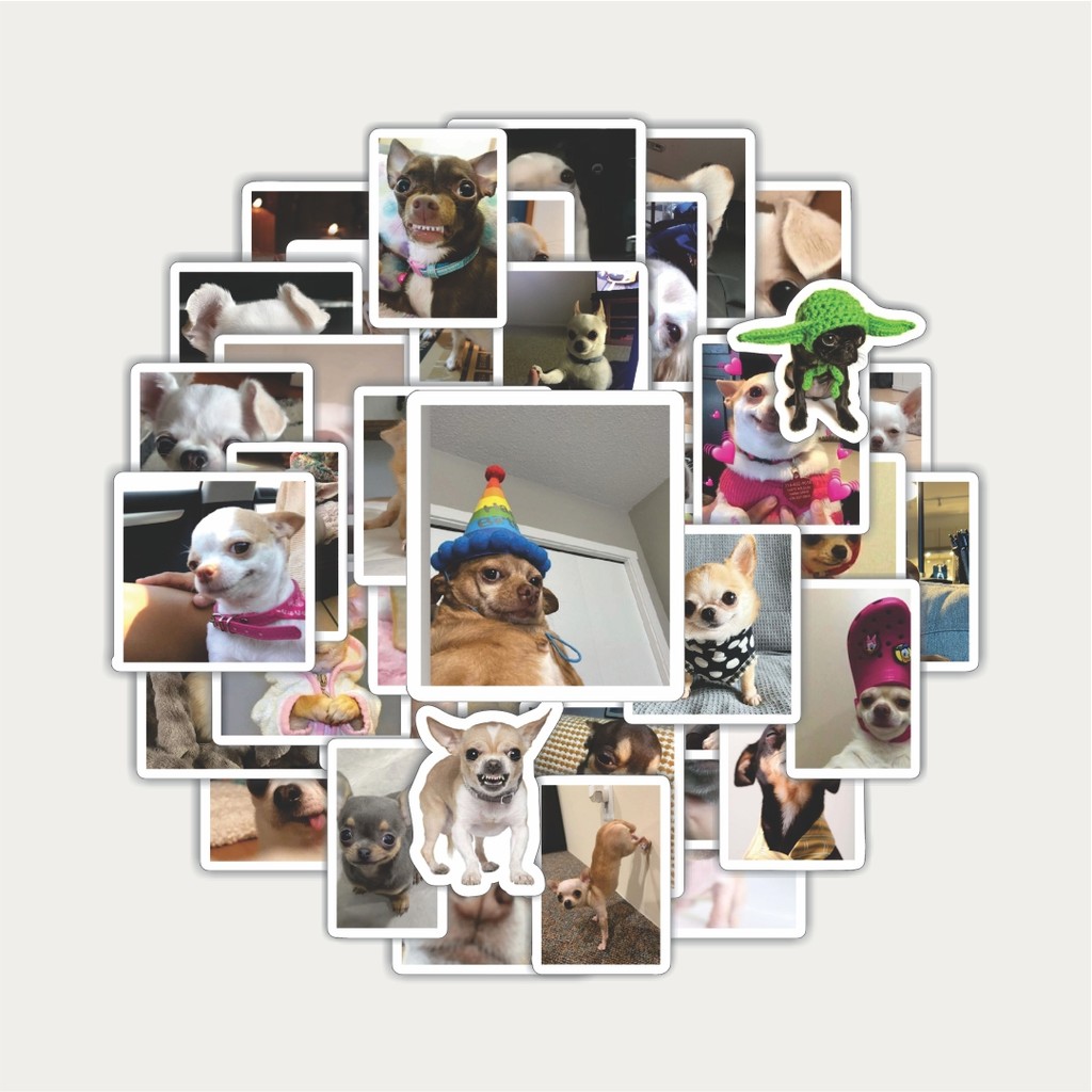 

Sticker Pack Stiker Cihuahua | Sticker TUMBLR | Stiker LAPTOP KOPER HELM