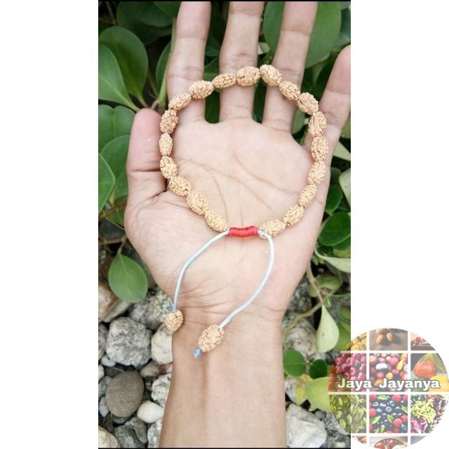GELANG  JENITRI RUDRAKSHA MUKHI 2 Jaya_Jayanya