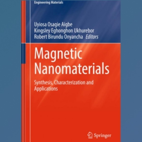 Buku Magnetic Nanomaterials