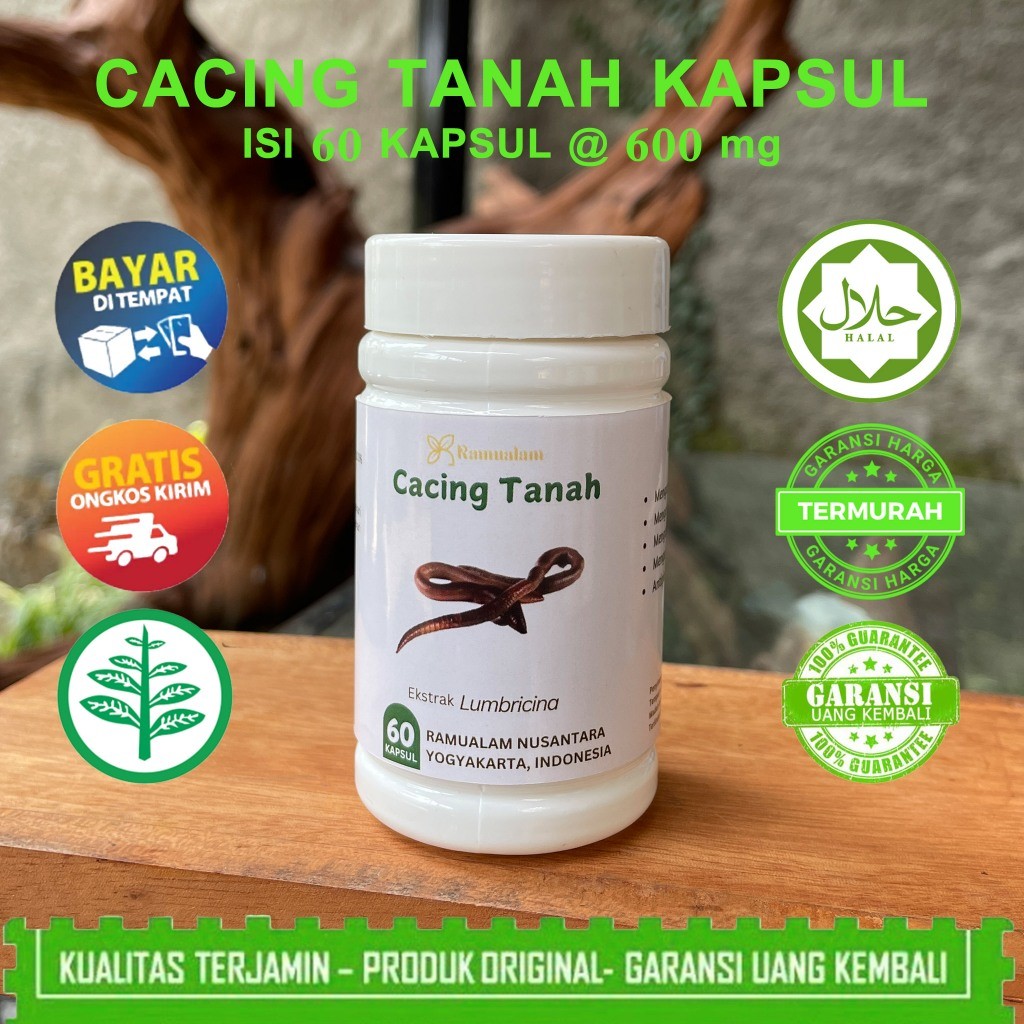 Kapsul Cacing Tanah 50 Kapsul - Mengatasi penyakit tipes