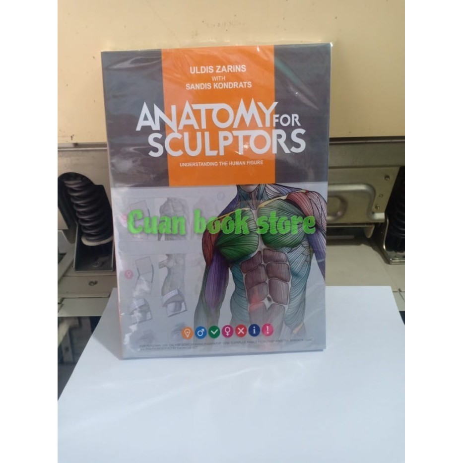 BUKU Buku Anatomy for Sculptors, Understanding - isi hitam putih