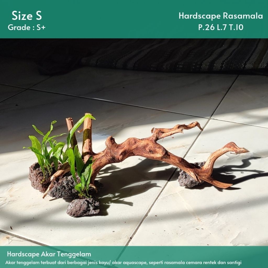 JSPH HARDSCAPE AKAR TENGGELAM KECIL S SATU SET |Hiasan Akuarium/Aquascape/Aquatic