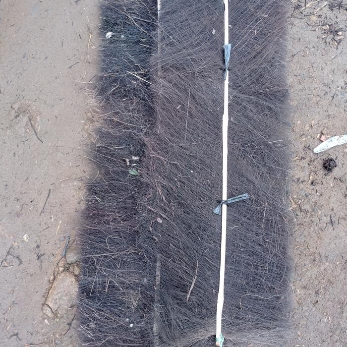 

ijuk kakaban media telur ikan panjang 100cm Shop with