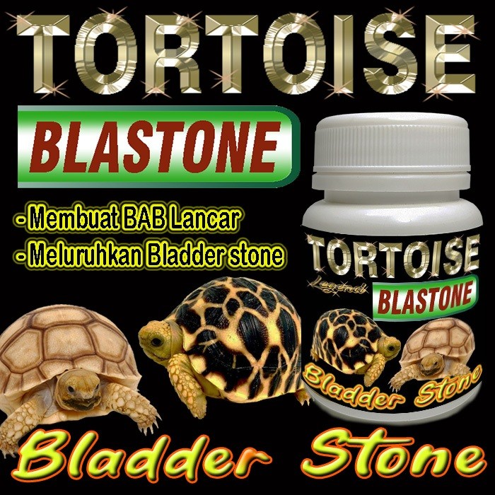 TORTOISE BLASTONE KAPSUL OBAT BLADDER STONE BS MELURUHKAN URATES KURA-KURA DARAT MENGOBATI PENYAKIT 