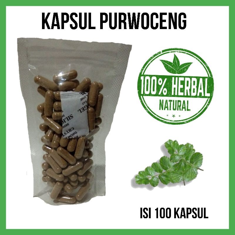 Kapsul Purwoceng isi 100. Asli. Alami. Berkhasiat