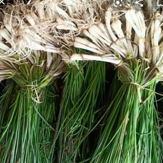 

sayur kuncai segar 1kg