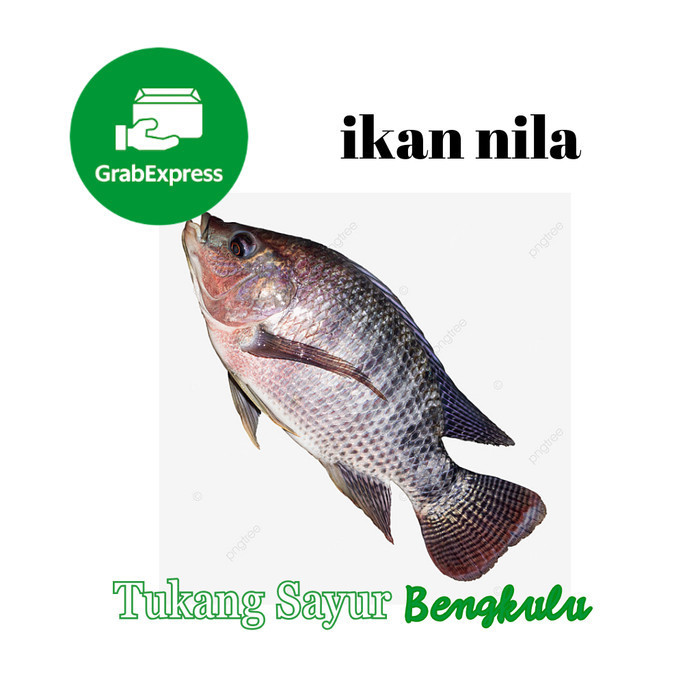 

ikan nila 500gram Grab instan Tukang Sayur Bengkulu