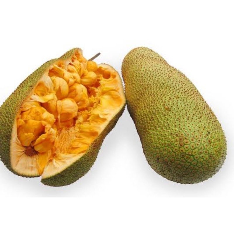 

Buah Tiwadak / Cempedak / Cimpedak / Cempedak / Berat 500 Gram