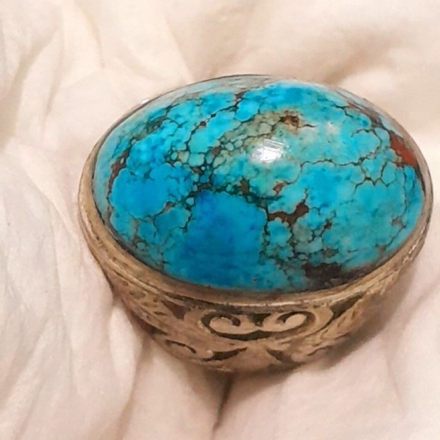 Pirus gradasi biru urat jala size jumbo