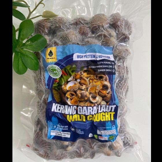 

Pure Organic Kerang Dara Laut 1kg