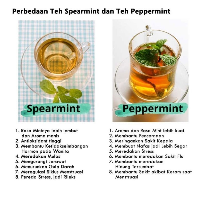 

AKEH SEHATKUHERBAL Spearmint tea / Teh daun mint isi 20 teh celup & 30 teh celup
