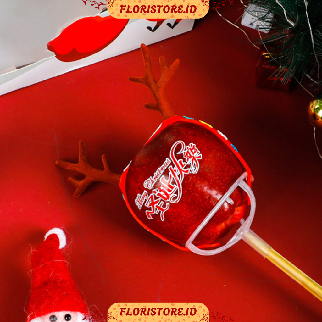 

HOLDER ACCESORIES CUP / Buket