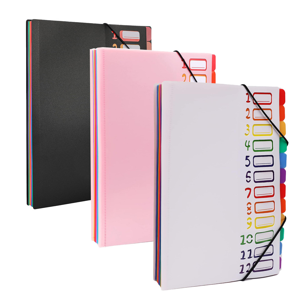 

12 Pocket Expanding Project Sorter Heavy Duty Monthly Plastic Expandable Folder Organizer, A4 Letter Size, Multicolor