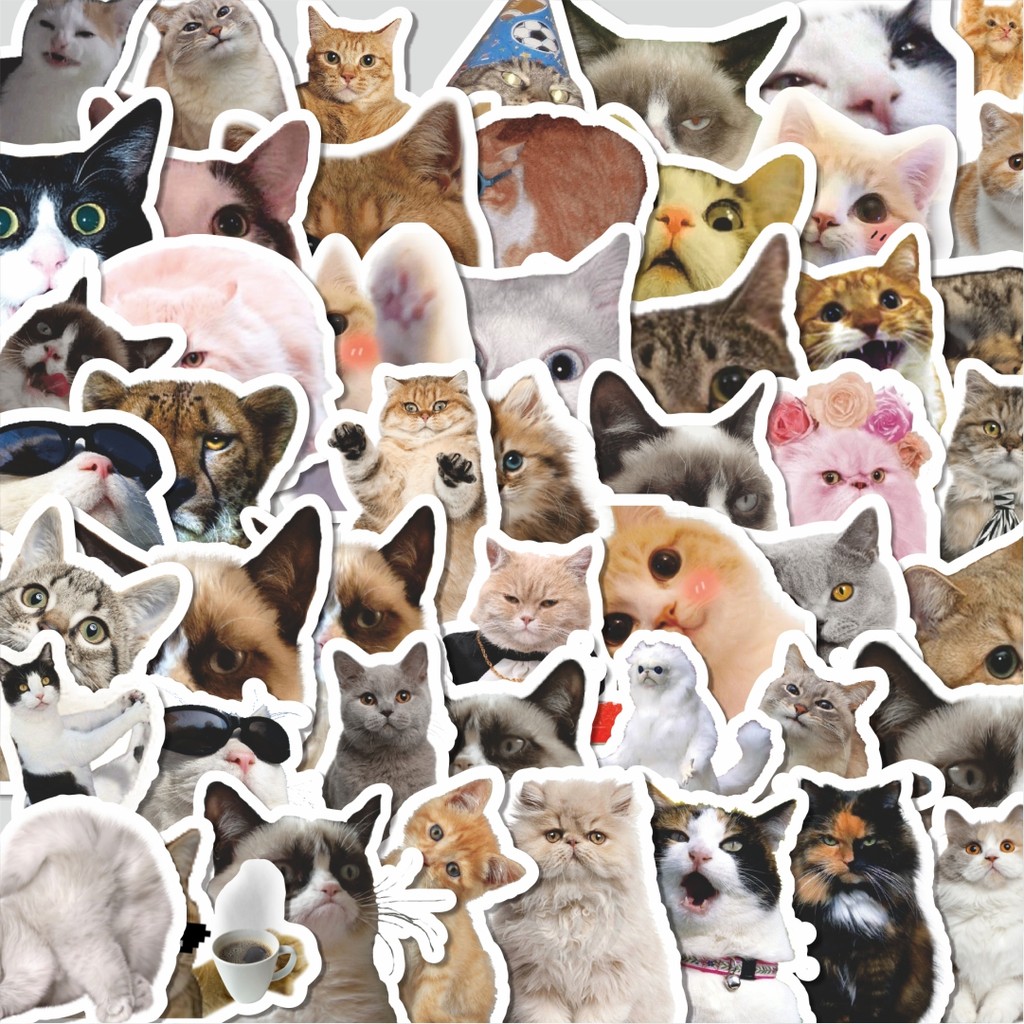 

Stiker Cutting Packtiker Funny Cats Emoji Series [Seri Emoji Kucing Lucu] Isi 100Pcs Series Aesthetic Lucu Keren Untuk Koper Bahan Vynil
