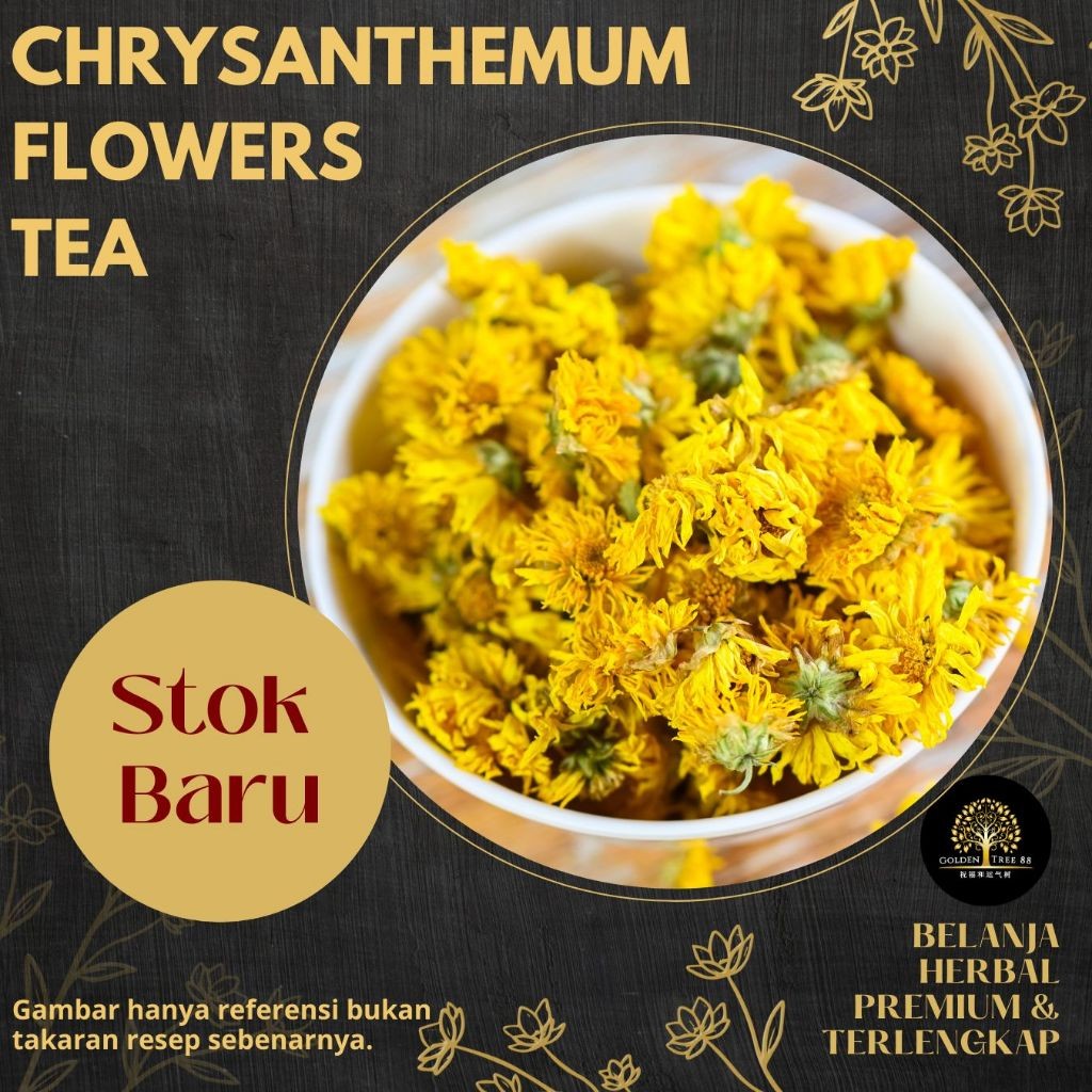 

FREE Product Stok Terbatas Khusus Special Event TERLARISS