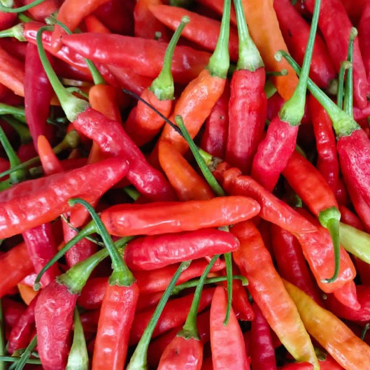 

Cabe Rawit/Cabai Rawit Merah 1000 gram dan 500 gram,segar dan fress petik langsung dari petani