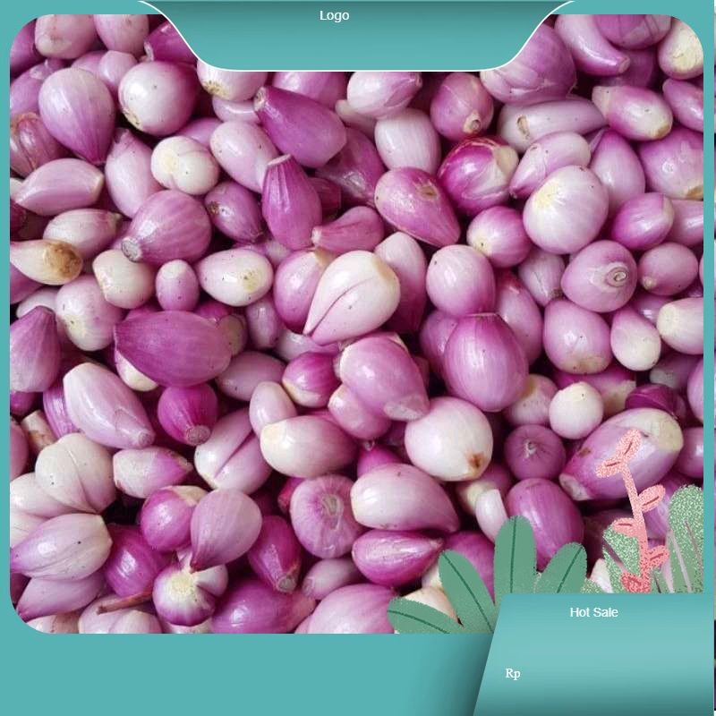 

BAWANG MERAH SUDAH DIKUPAS SEGAR 250gram