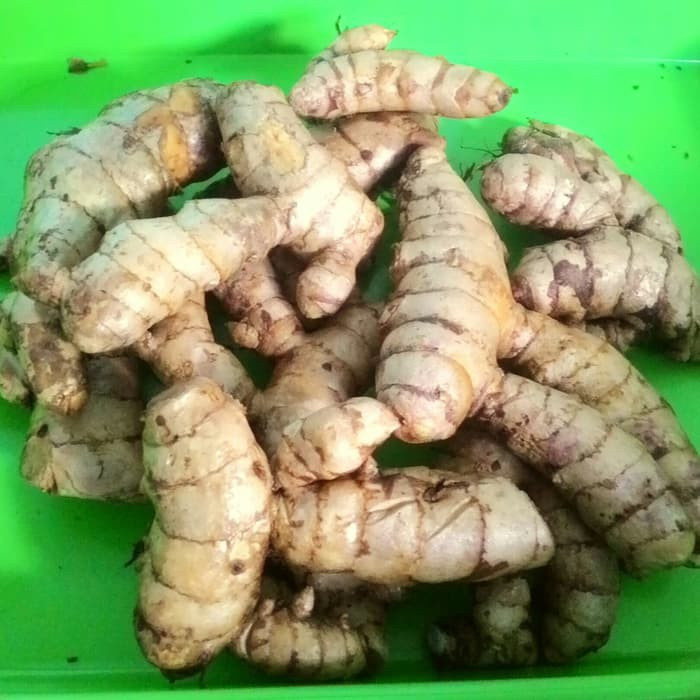 

TEMU IRENG atau TEMU HITAM segar super 1000 gram A.L_96 Yulianti726