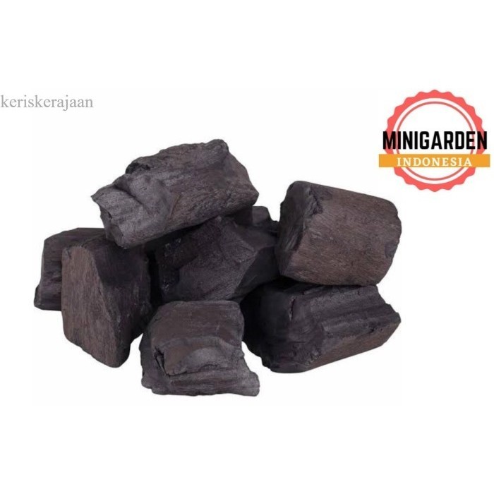 

MEDIA TANAM ARANG KAYU 500 GRAM MEDIA POROUS FILTER AIR ANTI BAU murah