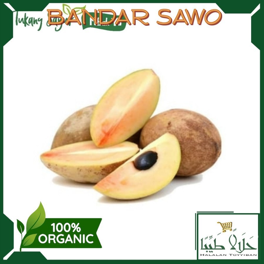

BANDAR sawo segar per kg