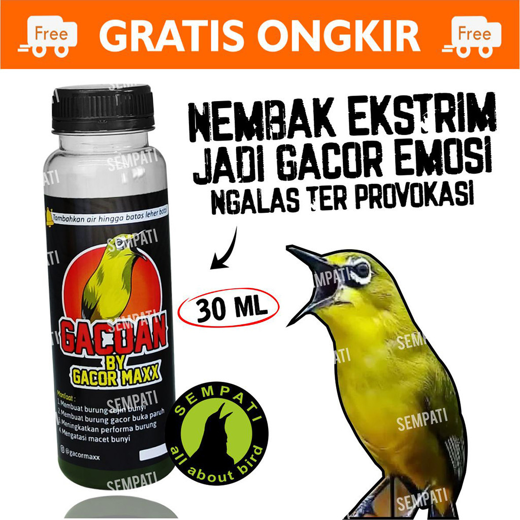 SEMPATI GACOAN DOPPING VITAMIN BURUNG PLECI GACOAN BY GACOR MAXX DOPING TAMBAHAN BURUNG PLECI CEPAT 