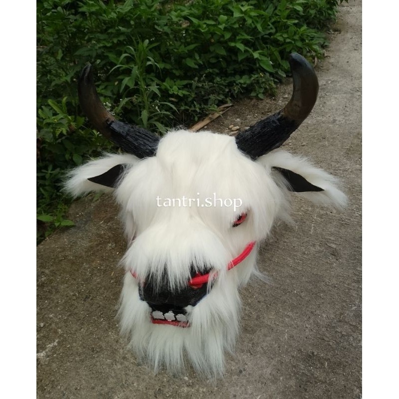 BANTENGAN BULU KOREA - BANTENGAN DEWASA/REMAJA - BANTENGAN BULU - BANTENG IMUTAN 1,5 Kil - BANTENGAN